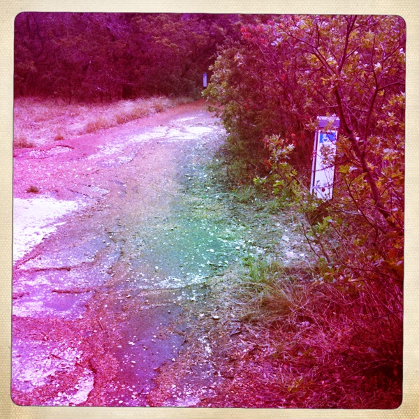 IMG_1028 handicapped sign on the hiking trail