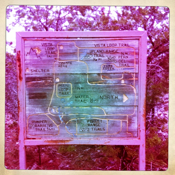 IMG_1041 wooden map on the hiking trail